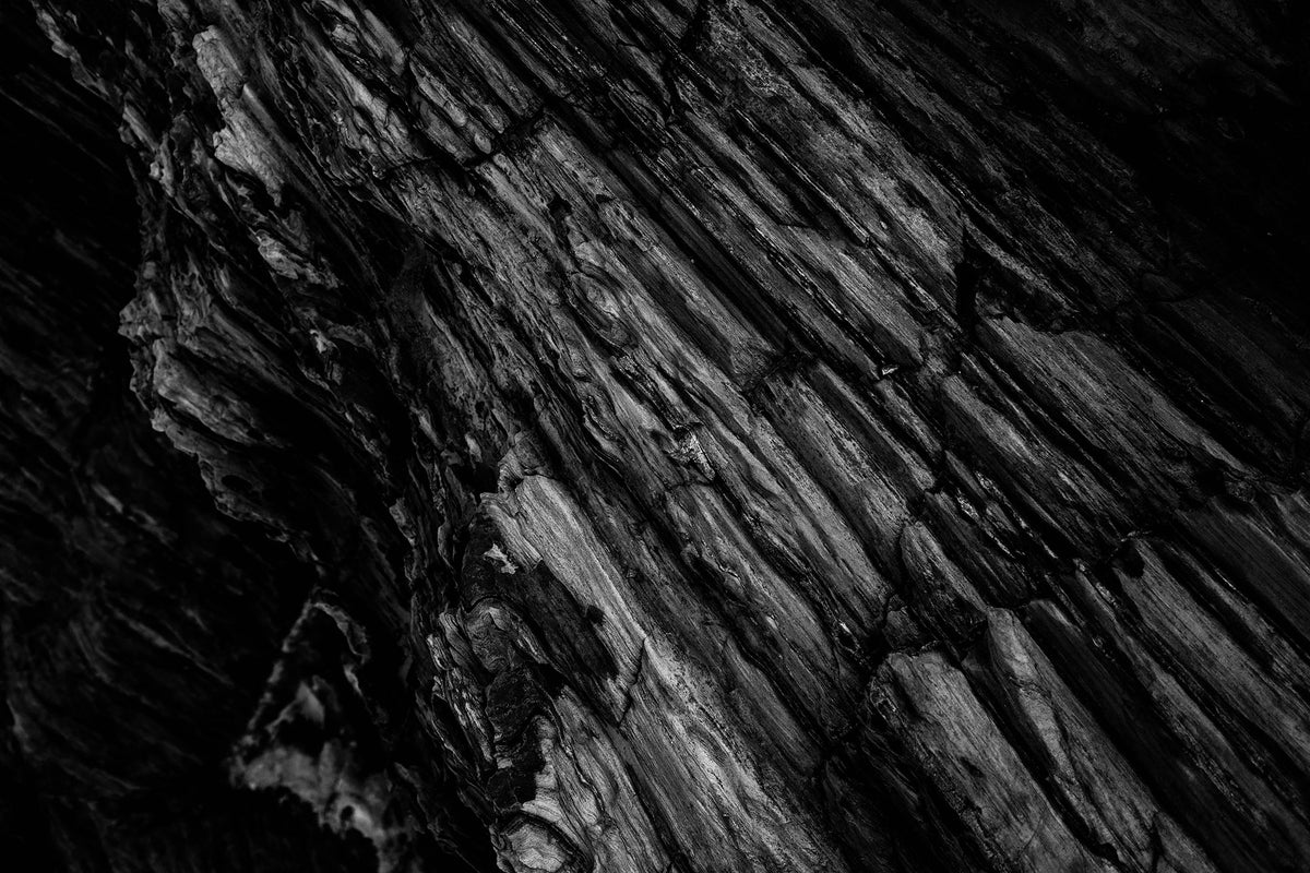 Dark brushed texture, the SKINGRAPHICA concierge service