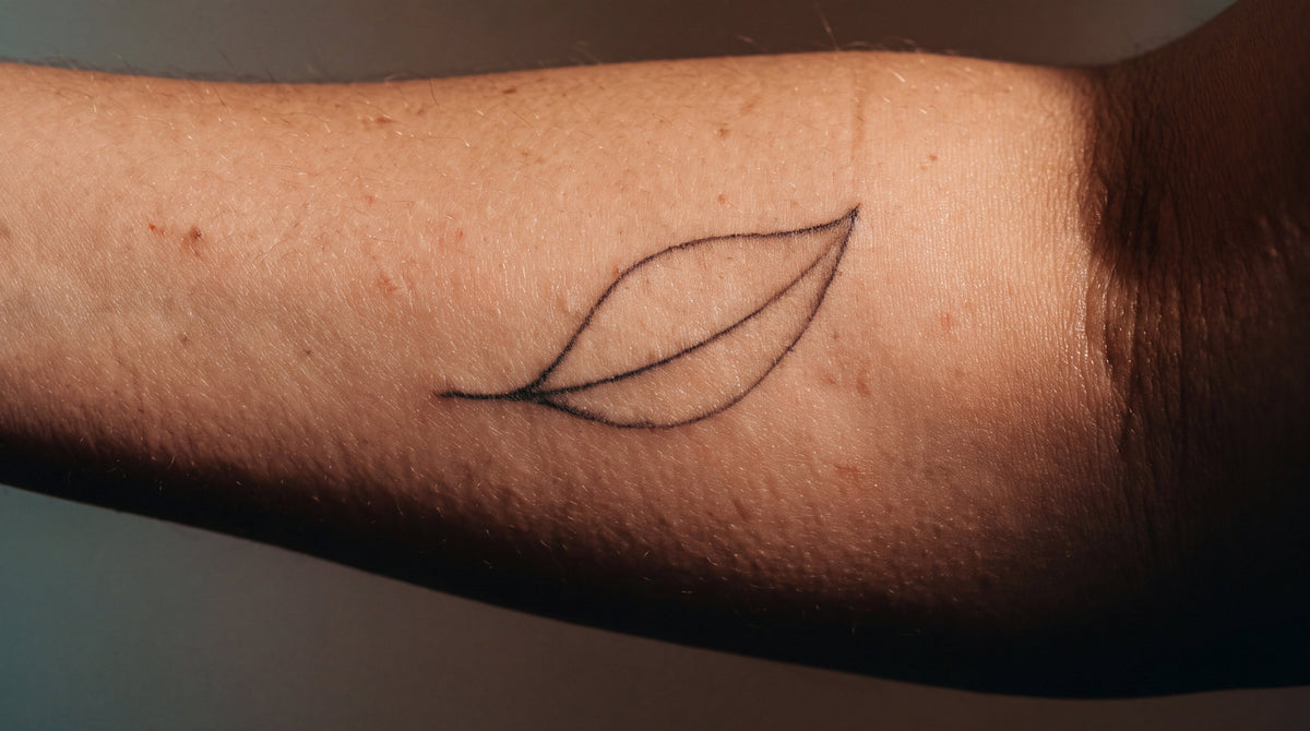 Close up of a healed fine line leaf tattoo on an inner forearm in warm light, how tattooed skin heals and breathes
