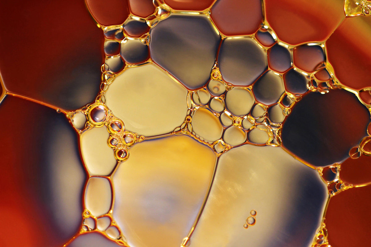 Macro of LUME key ingredients, golden oil cells that restore tattoo vibrancy