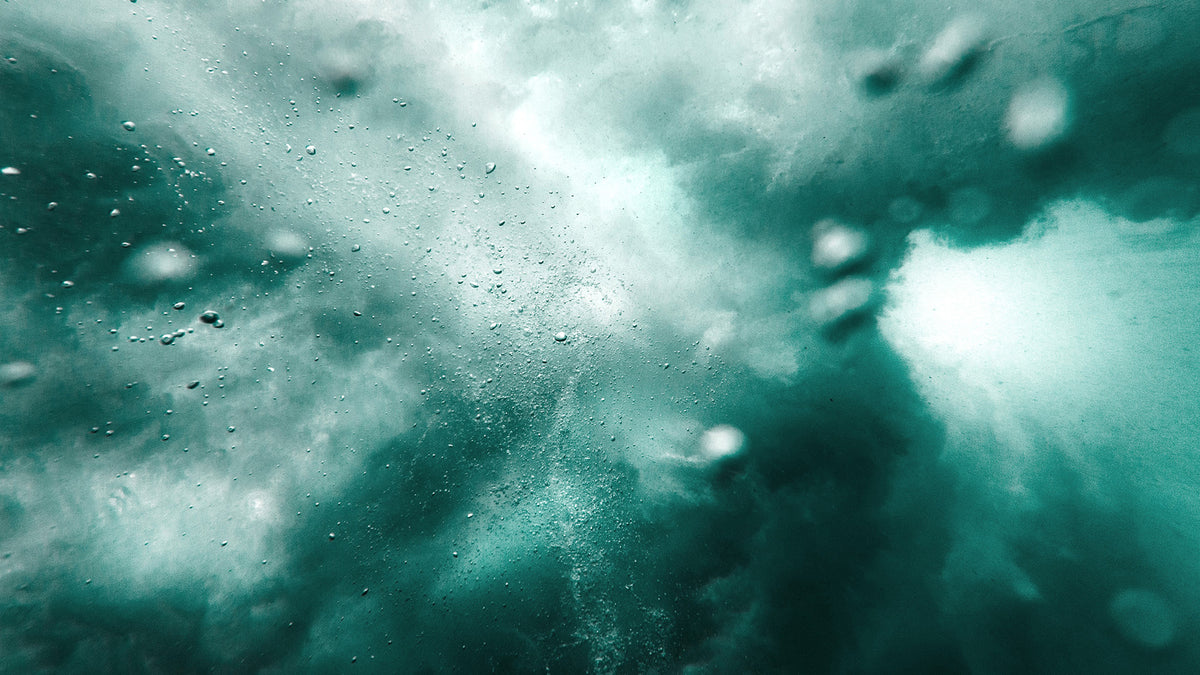 Macro of SHIELD key ingredients in cool teal light, protecting tattoos from fade