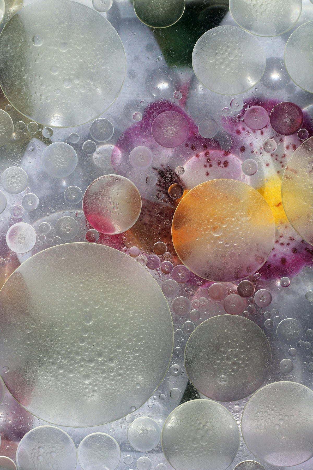 Macro of oil bubbles in pink and amber light, inked skin at a cellular level